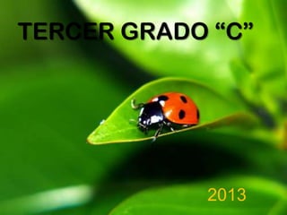TERCER GRADO “C”
2013
 