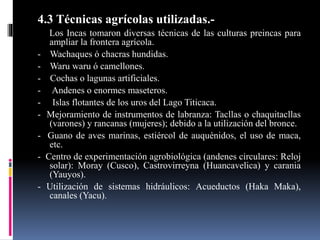 4.3 Técnicas agrícolas utilizadas.-
Los Incas tomaron diversas técnicas de las culturas preincas para
ampliar la frontera agrícola.
- Wachaques ó chacras hundidas.
- Waru waru ó camellones.
- Cochas o lagunas artificiales.
- Andenes o enormes maseteros.
- Islas flotantes de los uros del Lago Titicaca.
- Mejoramiento de instrumentos de labranza: Tacllas o chaquitacllas
(varones) y rancanas (mujeres); debido a la utilización del bronce.
- Guano de aves marinas, estiércol de auquénidos, el uso de maca,
etc.
- Centro de experimentación agrobiológica (andenes circulares: Reloj
solar): Moray (Cusco), Castrovirreyna (Huancavelica) y carania
(Yauyos).
- Utilización de sistemas hidráulicos: Acueductos (Haka Maka),
canales (Yacu).
 