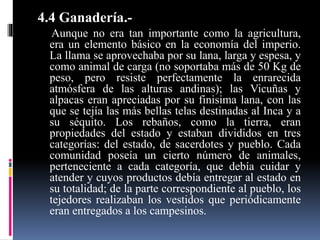 4.4 Ganadería.-
Aunque no era tan importante como la agricultura,
era un elemento básico en la economía del imperio.
La llama se aprovechaba por su lana, larga y espesa, y
como animal de carga (no soportaba más de 50 Kg de
peso, pero resiste perfectamente la enrarecida
atmósfera de las alturas andinas); las Vicuñas y
alpacas eran apreciadas por su finisima lana, con las
que se tejía las más bellas telas destinadas al Inca y a
su séquito. Los rebaños, como la tierra, eran
propiedades del estado y estaban divididos en tres
categorías: del estado, de sacerdotes y pueblo. Cada
comunidad poseía un cierto número de animales,
perteneciente a cada categoría, que debía cuidar y
atender y cuyos productos debía entregar al estado en
su totalidad; de la parte correspondiente al pueblo, los
tejedores realizaban los vestidos que periódicamente
eran entregados a los campesinos.
 
