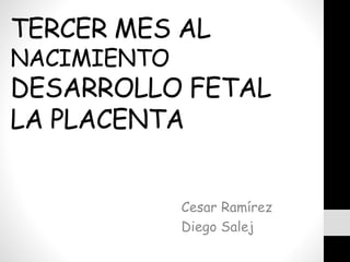 TERCER MES AL
NACIMIENTO
DESARROLLO FETAL
LA PLACENTA
Cesar Ramírez
Diego Salej
 
