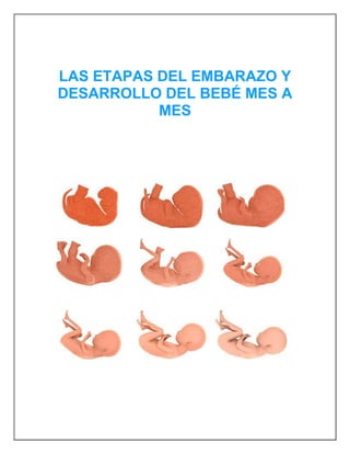 LAS ETAPAS DEL EMBARAZO Y
DESARROLLO DEL BEBÉ MES A
MES
 
