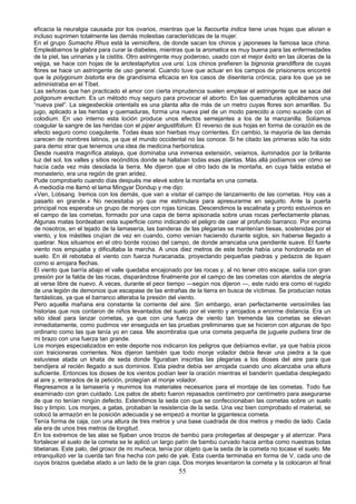 eficacia la neuralgia causada por los ovarios, mientras que la flacourtia indica tiene unas hojas que alivian e
incluso suprimen totalmente las demás molestias características de la mujer.
En el grupo Sumachs Rhus está la vernicifera, de donde sacan los chinos y japoneses la famosa laca china.
Empleábamos la glabra para curar la diabetes, mientras que la aromatica es muy buena para las enfermedades
de la piel, las urinarias y la cistitis. Otro astringente muy poderoso, usado con el mejor éxito en las úlceras de la
vejiga, se hace con hojas de la arctestaphylos uva ursi. Los chinos prefieren la bignonia grandiflora de cuyas
flores se hace un astringente de uso general. Cuando tuve que actuar en los campos de prisioneros encontré
que la polygonum bistorta era de grandísima eficacia en los casos de disentería crónica, para los que ya se
administraba en el Tíbet.
Las señoras que han practicado el amor con cierta imprudencia suelen emplear el astringente que se saca del
poligonum erectum. Es un método muy seguro para provocar el aborto. En las quemaduras aplicábamos una
“nueva piel”. La siegesbeckia orientalis es una planta alta de más de un metro cuyas flores son amarillas. Su
jugo, aplicado a las heridas y quemaduras, forma una nueva piel de un modo parecido a como sucede con el
colodium. En uso interno esta loción produce unos efectos semejantes a los de la manzanilla. Solíamos
coagular la sangre de las heridas con el piper angustifolium. El reverso de sus hojas en forma de corazón es de
efecto seguro como coagulante. Todas ésas son hierbas muy corrientes. En cambio, la mayoría de las demás
carecen de nombres latinos, ya que el mundo occidental no las conoce. Si he citado las primeras sólo ha sido
para demo strar que tenemos una idea de medicina herborística.
Desde nuestra magnífica atalaya, que dominaba una inmensa extensión, veíamos, iluminados por la brillante
luz del sol, los valles y sitios recónditos donde se hallaban todas esas plantas. Más allá podíamos ver cómo se
hacía cada vez más desolada la tierra. Me dijeron que el otro lado de la montaña, en cuya falda estaba el
monasterio, era una región de gran aridez.
Pude comprobarlo cuando días después me elevé sobre la montaña en una cometa.
A mediodía me llamó el lama Mingyar Dondup y me dijo:
«Ven, Lobsang. Iremos con los demás, que van a visitar el campo de lanzamiento de las cornetas. Hoy vas a
pasarlo en grande.» No necesitaba yo que me estirnulara para apresurarme en seguirlo. Ante la puerta
principal nos esperaba un grupo de monjes con rojas túnicas. Descendimos la escalinata y pronto estuvimos en
el campo de las cometas, formado por una capa de tierra apisonada sobre unas rocas perfectamente planas.
Algunas matas bordeaban esta superficie como indicando el peligro de caer al profundo barranco. Por encima
de nosotros, en el tejado de la lamasería, las banderas de las plegarias se mantenían tiesas, sostenidas por el
viento, y los mástiles crujían de vez en cuando, como venían haciendo durante siglos, sin haberse llegado a
quebrar. Nos situamos en el otro borde rocoso del campo, de donde arrancaba una pendiente suave. El fuerte
viento nos empujaba y dificultaba la marcha. A unos diez metros de este borde había una hondonada en el
suelo. En él rebotaba el viento con fuerza huracanada, proyectando pequeñas piedras y pedazos de liquen
como si arrojara flechas.
El viento que barría abajo el valle quedaba encajonado por las rocas y, al no tener otro escape, salía con gran
presión por la falda de las rocas, disparándose finalmente por el campo de las cometas con alaridos de alegría
al verse libre de nuevo. A veces, durante el peor tiempo —según nos dijeron —, este ruido era como el rugido
de una legión de demonios que escapase de las entrañas de la tierra en busca de víctimas. Se producían notas
fantásticas, ya que el barranco alteraba la presión del viento.
Pero aquella mañana era constante la corriente del aire. Sin embargo, eran perfectamente verosímiles las
historias que nos contaron de niños levantados del suelo por el viento y arrojados a enorme distancia. Era un
sitio ideal para lanzar cometas, ya que con una fuerza de viento tan tremenda las cometas se elevan
inmediatamente, como pudimos ver enseguida en las pruebas preliminares que se hicieron con algunas de tipo
ordinario como las que tenía yo en casa. Me asombraba que una cometa pequeña de juguete pudiera tirar de
mi brazo con una fuerza tan grande.
Los monjes especializados en este deporte nos indicaron los peligros que debíamos evitar, ya que había picos
con traicioneras corrientes. Nos dijeron también que todo monje volador debía llevar una piedra a la que
estuviese atada un khata de seda donde figuraban inscritas las plegarias a los dioses del aire para que
bendijera al recién llegado a sus dominios. Esta piedra debía ser arrojada cuando uno alcanzaba una altura
suficiente. Entonces los dioses de los vientos podían leer la oración mientras el banderín quedaba desplegado
al aire y, enterados de la petición, protegían al monje volador.
Regresamos a la lamasería y reunimos los materiales necesarios para el montaje de las cometas. Todo fue
examinado con gran cuidado. Los palos de abeto fueron repasados centímetro por centímetro para asegurarse
de que no tenían ningún defecto. Extendimos la seda con que se confeccionaban las cometas sobre un suelo
liso y limpio. Los monjes, a gatas, probaban la resistencia de la seda. Una vez bien comprobado el material, se
colocó la armazón en la posición adecuada y se empezó a montar la gigantesca corneta.
Tenía forma de caja, con una altura de tres metros y una base cuadrada de dos metros y medio de lado. Cada
ala era de unos tres metros de longitud.
En los extremos de las alas se fijaban unos trozos de bambú para protegerlas al despegar y al aterrizar. Para
fortalecer el suelo de la cometa se le aplicó un largo patín de bambú curvado hacia arriba como nuestras botas
tibetanas. Este palo, del grosor de mi muñeca, tenía por objeto que la seda de la cometa no tocase el suelo. Me
intranquilizó ver la cuerda tan fina hecha con pelo de yak. Esta cuerda terminaba en forma de V, cada uno de
cuyos brazos quedaba atado a un lado de la gran caja. Dos monjes levantaron la corneta y la colocaron al final

55

 