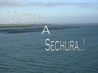 a Visita Sechura..! 