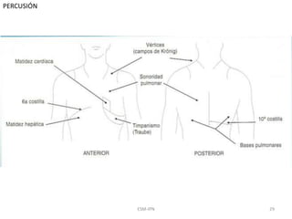 ESM-IPN 29
PERCUSIÓN
 