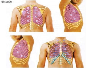 ESM-IPN 30
PERCUSIÓN
 