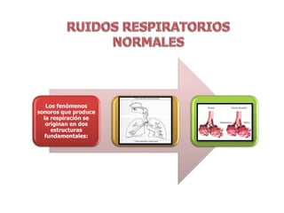 Los fenómenos
sonoros que produce
la respiración se
originan en dos
estructuras
fundamentales:
 
