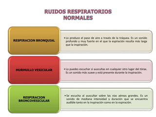 •Lo puedes escuchar si auscultas en cualquier otro lugar del tórax.
Es un sonido más suave y está presente durante la inspiración.
MURMULLO VESICULAR
•Lo produce el paso de aire a través de la tráquea. Es un sonido
profundo y muy fuerte en el que la espiración resulta más larga
que la inspiración.
RESPIRACION BRONQUIAL
•Se escucha al auscultar sobre las vías aéreas grandes. Es un
sonido de mediana intensidad y duración que se encuentra
audible tanto en la inspiración como en la espiración.
RESPIRACION
BRONCOVESICULAR
 