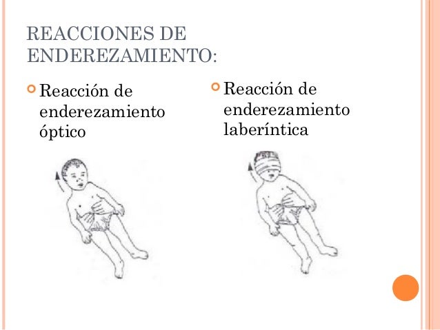 control app u psicomotricidad Tercer trimestre