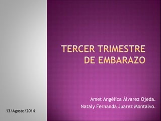 Amet Angélica Álvarez Ojeda. 
Nataly Fernanda Juarez Montalvo. 
13/Agosto/2014 
 