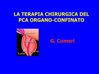 LA TERAPIA CHIRURGICA DEL
  PCA ORGANO-CONFINATO



            G. Comeri
 