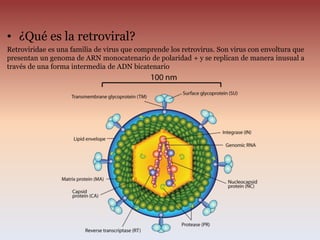 • ¿Qué es la retroviral?
Retroviridae es una familia de virus que comprende los retrovirus. Son virus con envoltura que
presentan un genoma de ARN monocatenario de polaridad + y se replican de manera inusual a
través de una forma intermedia de ADN bicatenario
 