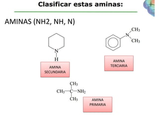 AMINAS (NH2, NH, N)



                                   AMINA
            AMINA                 TERCIARIA
          SECUNDARIA




                        AMINA
                       PRIMARIA
 