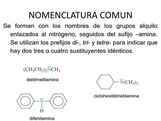 NOMENCLATURA COMUN
 