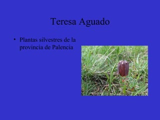 Teresa Aguado ,[object Object]