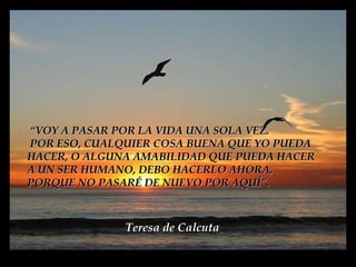 “ VOY A PASAR POR LA VIDA UNA SOLA VEZ. POR ESO, CUALQUIER COSA BUENA QUE YO PUEDA HACER, O ALGUNA AMABILIDAD QUE PUEDA HACER A UN SER HUMANO, DEBO HACERLO AHORA, PORQUE NO PASARÉ DE NUEVO   POR AQUÍ”. Teresa de Calcuta 