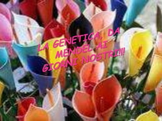 LA GENETICA, DA MENDEL AI GIORNI NOSTRI!!!