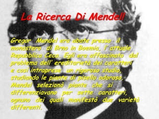 La Ricerca Di Mendel!Gregor  Mendel era abate presso  il monastero  di Brno in Boemia, l’ attuale Repubblica Ceca. Egli era affascinato  dal problema dell’ ereditarietà dei caratteri  e così intraprese  un rigoroso studio, studiando le piante di pisello odoroso.  Mendel  selezionò  piante  che  si  differenziavano  per  sette  caratteri,  ognuno  dei  quali  manifestò  due  varietà  differenti.