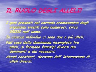 IL RUOLO DEGLI ALLELI!I geni presenti nel corredo cromosomico degli organismi viventi sono numerosi, circa 25000 nell’ uomo;In ciascun individuo ci sono due o più alleli;Nel caso della dominanza incompleta tra alleli, si formano fenotipi diversi dai dominanti e dai recessivi;Alcuni caratteri, derivano dall’ internazione di alleli diversi.