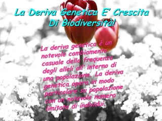La Deriva Genetica E’ Crescita Di Biodiversità!La deriva genetica è un notevole cambiamento casuale della frequenza degli alleli all’ interno di una popolazione. La deriva genetica opera in modo particolare su popolazione con un notevole numero limitato di individui.