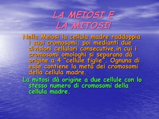 LA MEIOSI E LA MITOSI!Nella Meiosi la cellula madre raddoppia i suoi cromosomi; poi medianti due divisioni cellulari consecutive,in cui i cromosomi omologhi si separano dà origine a 4 “cellule figlie”. Ognuna di esse contiene la metà dei cromosomi della cellula madre.La mitosi dà origine a due cellule con lo stesso numero di cromosomi della cellula madre. 