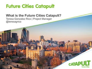 What is the Future Cities Catapult?
Teresa Gonzalez Rico | Project Manager
@teresagrico
 