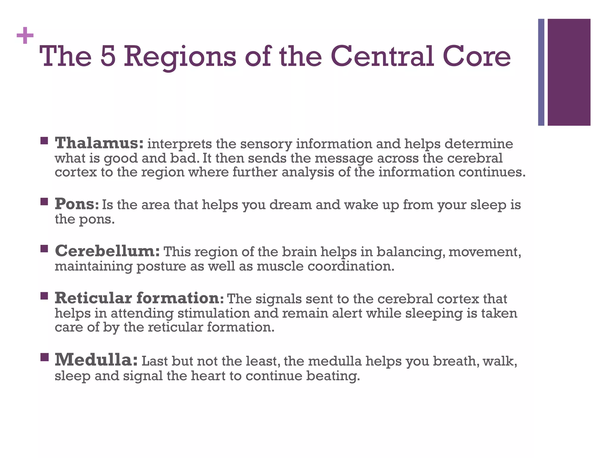 +
The 5 Regions of the Central Core
 Thalamus: interprets the sensory information and helps determine
what is good and bad. It then sends the message across the cerebral
cortex to the region where further analysis of the information continues.
 Pons: Is the area that helps you dream and wake up from your sleep is
the pons.
 Cerebellum: This region of the brain helps in balancing, movement,
maintaining posture as well as muscle coordination.
 Reticular formation: The signals sent to the cerebral cortex that
helps in attending stimulation and remain alert while sleeping is taken
care of by the reticular formation.
 Medulla: Last but not the least, the medulla helps you breath, walk,
sleep and signal the heart to continue beating.
 