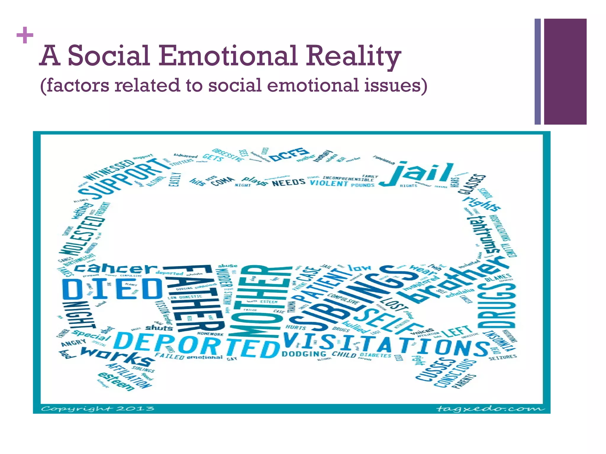 +
A Social Emotional Reality
(factors related to social emotional issues)
 