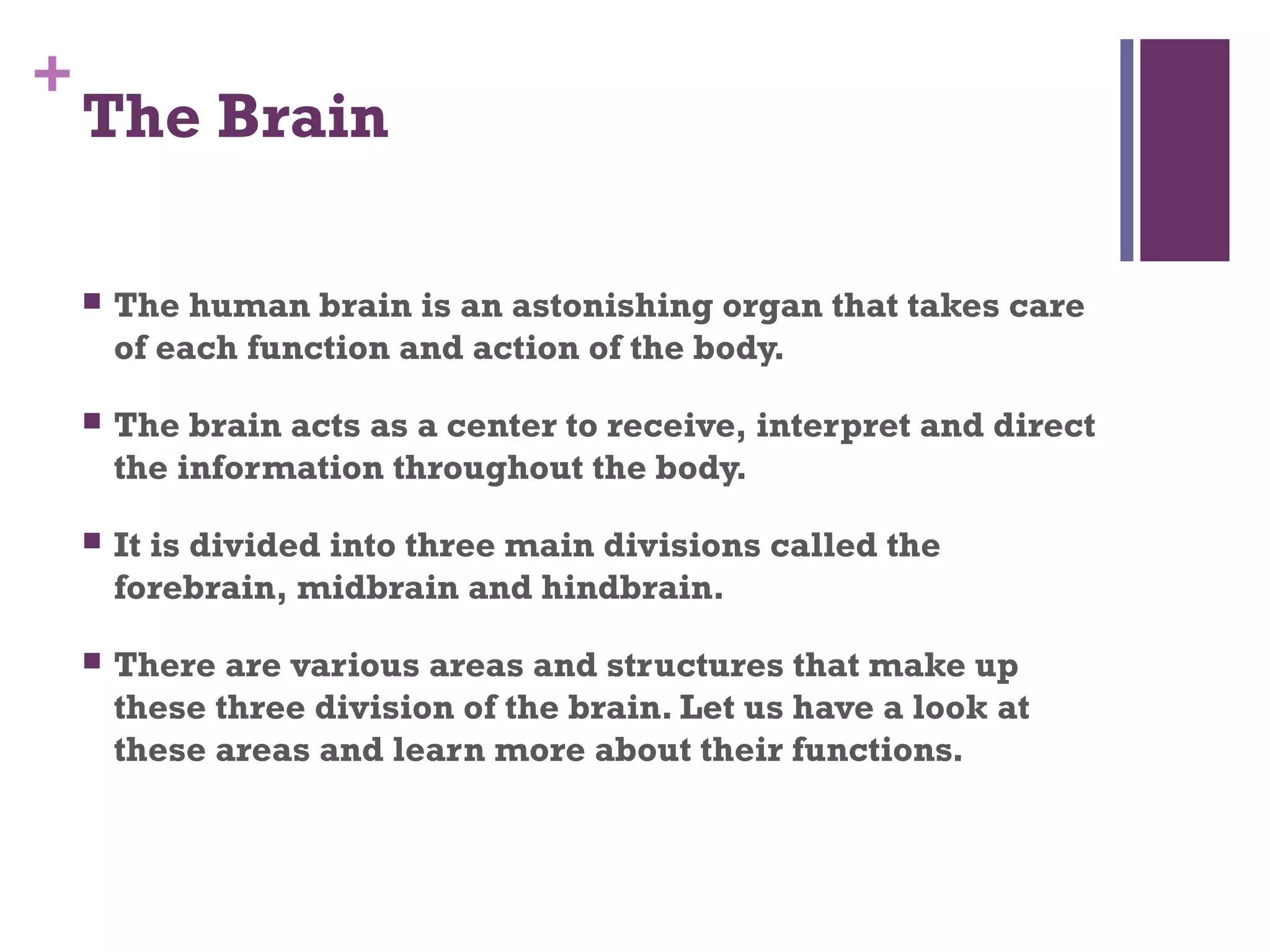 +
The Brain
 The human brain is an astonishing organ that takes care
of each function and action of the body.
 The brain acts as a center to receive, interpret and direct
the information throughout the body.
 It is divided into three main divisions called the
forebrain, midbrain and hindbrain.
 There are various areas and structures that make up
these three division of the brain. Let us have a look at
these areas and learn more about their functions.
 