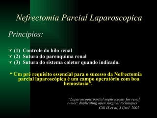 Principios: (1)  Controle do hilo renal (2)  Sutura do parenquima renal  (3)  Sutura do sistema coletor quando indicado. “  Um pré requisito essencial para o sucesso da Nefrectomia parcial laparoscópica é um campo operatório com boa hemostasia”.  Nefrectomia Parcial Laparoscopica “ Laparoscopic partial nephrectomy for renal tumor: duplicating open surgical techniques ”  Gill IS et al, J Urol.  2002  