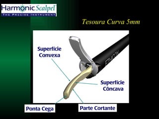 Parte Cortante Superfície Convexa Superfície Côncava Ponta Cega Tesoura Curva 5mm 