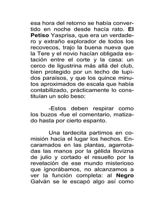 esa hora del retorno se había conver-
tido en noche desde hacía rato. El
Petiso Yasprisa, que era un verdade-
ro y extraño explorador de todos los
recovecos, trajo la buena nueva que
la Tere y el novio hacían obligada es-
tación entre el corte y la casa: un
cerco de ligustrina más allá del club,
bien protegido por un techo de tupi-
dos paraísos, y que los quince minu-
tos aproximados de escala que había
contabilizado, prácticamente lo cons-
tituían un solo beso:

      -Estos deben respirar como
los buzos -fue el comentario, matiza-
do hasta por cierto espanto.

       Una tardecita partimos en co-
misión hacia el lugar los hechos. En-
caramados en las plantas, agarrota-
das las manos por la gélida llovizna
de julio y cortado el resuello por la
revelación de ese mundo misterioso
que ignorábamos, no alcanzamos a
ver la función completa: al Negro
Galván se le escapó algo así como
 