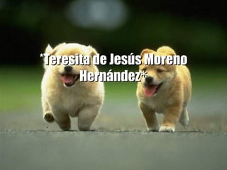 *Teresita de Jesús Moreno Hernández * 