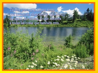 Tú eres para mí la misma tierra que incluye la vibración de sus seres, las aguas, las alturas, lo que encierra a todas las cosas que también eres. 