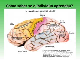 Como saber se o indivíduo aprendeu?  