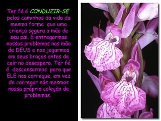 Ter fé é CONDUZIR-SE
pelos caminhos da vida da
  mesma forma que uma
 criança segura a mão de
  seu pai. É entregarmos
nossos problemas nas mão
 de DEUS e nos jogarmos
 em seus braços antes de
cair no desespero. Ter fé
é descansarmos para que
ELE nos carregue, em vez
 de carregar nós mesmos
 nossa própria coleção de
       problemas.
 