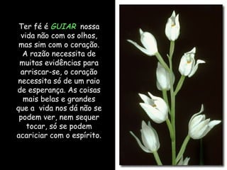 Ter fé é GUIAR nossa
 vida não com os olhos,
 mas sim com o coração.
  A razão necessita de
 muitas evidências para
 arriscar-se, o coração
necessita só de um raio
de esperança. As coisas
  mais belas e grandes
que a vida nos dá não se
 podem ver, nem sequer
   tocar, só se podem
acariciar com o espírito.
 