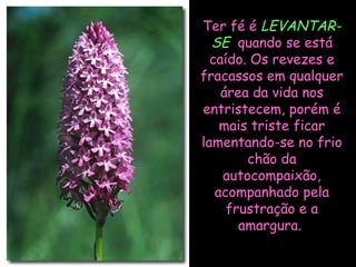 Ter fé é LEVANTAR-
  SE quando se está
  caído. Os revezes e
fracassos em qualquer
    área da vida nos
entristecem, porém é
    mais triste ficar
lamentando-se no frio
        chão da
    autocompaixão,
   acompanhado pela
     frustração e a
       amargura.
 