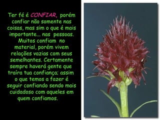 Ter fé é CONFIAR, porém
   confiar não somente nas
coisas, mas sim o que é mais
 importante... nas pessoas.
     Muitos confiam no
    material, porém vivem
  relações vazias com seus
  semelhantes. Certamente
 sempre haverá gente que
traíra tua confiança; assim
    o que temos a fazer é
seguir confiando sendo mais
 cuidadoso com aqueles em
     quem confiamos.
 