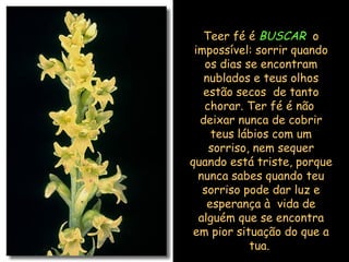 Teer fé é  BUSCAR   o impossível: sorrir quando os dias se encontram nublados e teus olhos estão secos  de tanto chorar. Ter fé é não  deixar nunca de cobrir teus lábios com um sorriso, nem sequer quando está triste, porque nunca sabes quando teu sorriso pode dar luz e esperança à  vida de alguém que se encontra em pior situação do que a tua.  