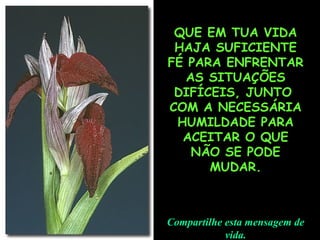 . QUE EM TUA VIDA HAJA SUFICIENTE FÉ PARA ENFRENTAR AS SITUAÇÕES DIFÍCEIS, JUNTO  COM A NECESSÁRIA HUMILDADE PARA ACEITAR O QUE NÃO SE PODE MUDAR. Compartilhe esta mensagem de vida. 
