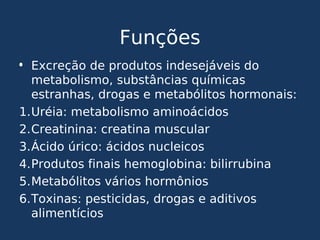 Funções
• Excreção de produtos indesejáveis do
metabolismo, substâncias químicas
estranhas, drogas e metabólitos hormonais:
1.Uréia: metabolismo aminoácidos
2.Creatinina: creatina muscular
3.Ácido úrico: ácidos nucleicos
4.Produtos finais hemoglobina: bilirrubina
5.Metabólitos vários hormônios
6.Toxinas: pesticidas, drogas e aditivos
alimentícios
 