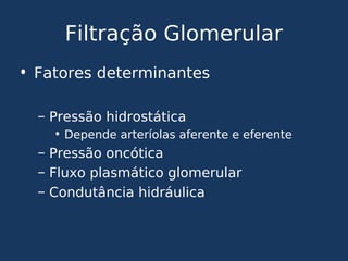 Filtração Glomerular
• Fatores determinantes
– Pressão hidrostática
• Depende arteríolas aferente e eferente
– Pressão oncótica
– Fluxo plasmático glomerular
– Condutância hidráulica
 
