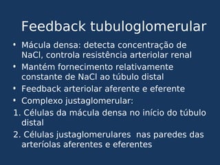 Feedback tubuloglomerular
• Mácula densa: detecta concentração de
NaCl, controla resistência arteriolar renal
• Mantém fornecimento relativamente
constante de NaCl ao túbulo distal
• Feedback arteriolar aferente e eferente
• Complexo justaglomerular:
1. Células da mácula densa no início do túbulo
distal
2. Células justaglomerulares nas paredes das
arteríolas aferentes e eferentes
 