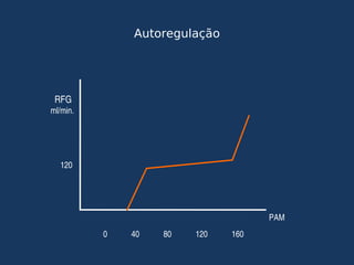 Autoregulação
  RFG
ml/min.
0            40            80            120            160
120
PAM
 