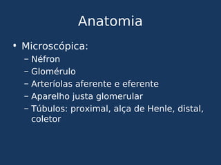 Anatomia
• Microscópica:
– Néfron
– Glomérulo
– Arteríolas aferente e eferente
– Aparelho justa glomerular
– Túbulos: proximal, alça de Henle, distal,
coletor
 