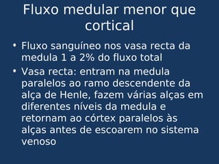 Fluxo medular menor que
cortical
• Fluxo sanguíneo nos vasa recta da
medula 1 a 2% do fluxo total
• Vasa recta: entram na medula
paralelos ao ramo descendente da
alça de Henle, fazem várias alças em
diferentes níveis da medula e
retornam ao córtex paralelos às
alças antes de escoarem no sistema
venoso
 