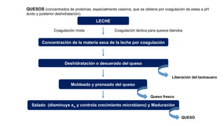 QUESOS (concentrados de proteínas, especialmente caseína, que se obtiene por coagulación de estas a pH
ácido y posterior deshidratación).
LECHE
Concentración de la materia seca de la leche por coagulación
Coagulación mixta
Deshidratación o desuerado del queso
Liberación del lactosuero
Moldeado y prensado del queso
Queso fresco
Salado (disminuye aw y controla crecimiento microbiano) y Maduración
Coagulación láctica para quesos blandos
QUESO
 