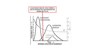 Leuconostoc deja de crecer debido a
que se alcanza una concentración de
ácidos del 1% v/v
 