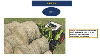 ENSILAJE
HENO
HENO: deshidratación del forraje
hasta alcanzar el 14 – 15 % de
humedad para inhibir el
crecimiento microbiano
 