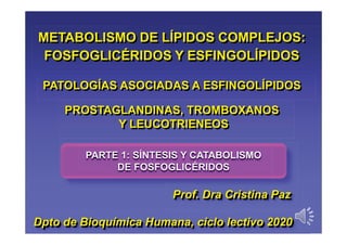 METABOLISMO DE LÍPIDOS COMPLEJOS:
FOSFOGLICÉRIDOS Y ESFINGOLÍPIDOS
PATOLOGÍAS ASOCIADAS A ESFINGOLÍPIDOS
Dpto de Bioquímica Humana, ciclo lectivo 2020
Prof. Dra Cristina Paz
PROSTAGLANDINAS, TROMBOXANOS
Y LEUCOTRIENEOS
PARTE 1: SÍNTESIS Y CATABOLISMO
DE FOSFOGLICÉRIDOS
 